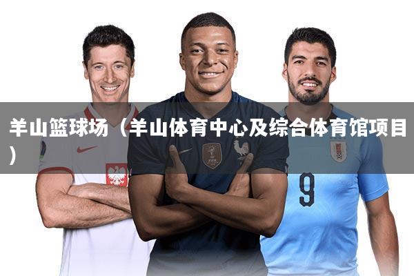 羊山篮球场(羊山体育中心及综合体育馆项目)