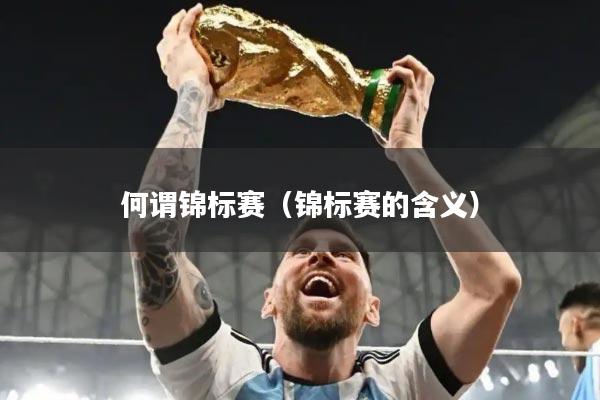 何谓锦标赛(锦标赛的含义)