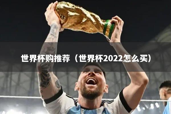 世界杯购推荐(世界杯2022怎么买)