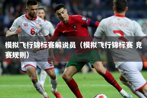 模拟飞行锦标赛解说员(模拟飞行锦标赛 竞赛规则)