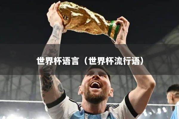 世界杯语言(世界杯流行语)