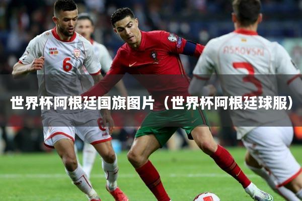 世界杯阿根廷国旗图片（世界杯阿根廷球服）