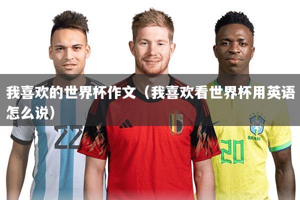 我喜欢的世界杯作文(我喜欢看世界杯用英语怎么说)