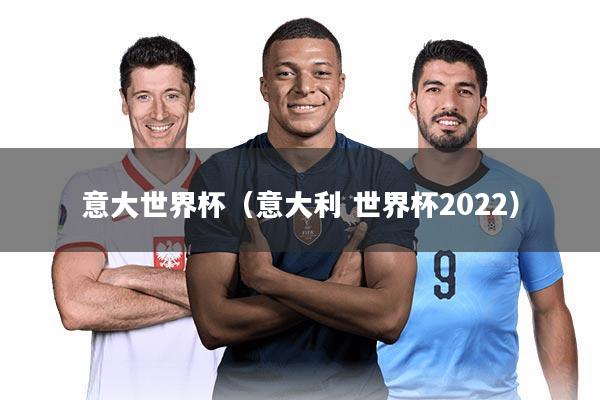意大世界杯(意大利 世界杯2022)