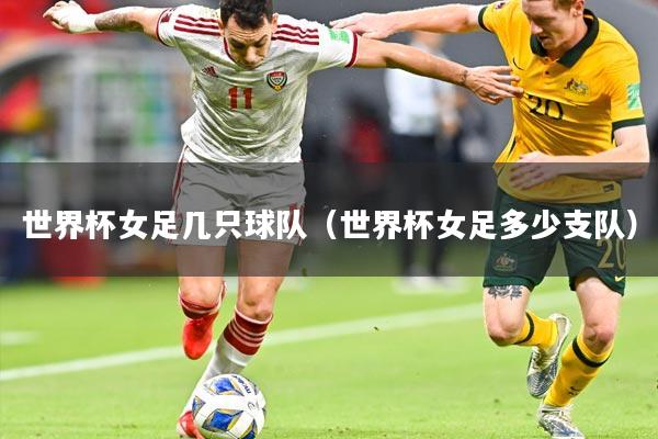 世界杯女足几只球队(世界杯女足多少支队)
