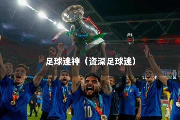足球迷神（资深足球迷）