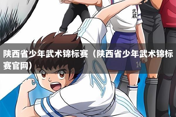 陕西省少年武术锦标赛（陕西省少年武术锦标赛官网）