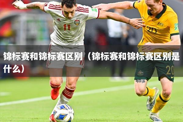 锦标赛和锦标赛区别（锦标赛和锦标赛区别是什么）