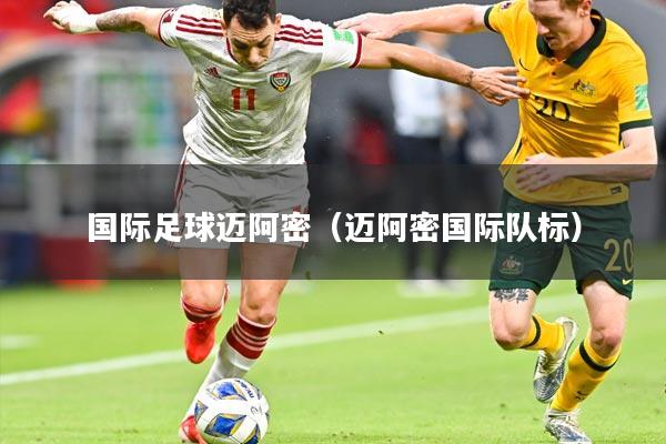 国际足球迈阿密（迈阿密国际队标）