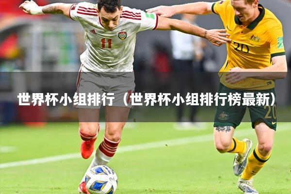 世界杯小组排行(世界杯小组排行榜最新)