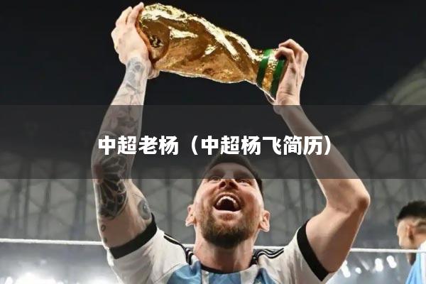 中超老杨（中超杨飞简历）