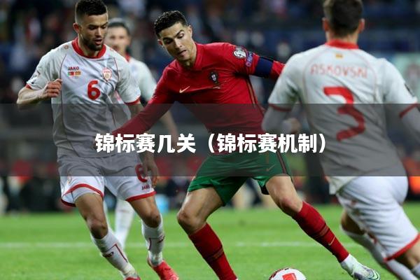 锦标赛几关（锦标赛机制）