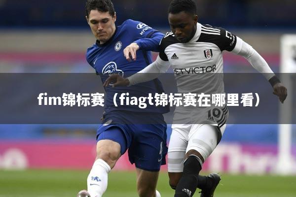 fim锦标赛（fiagt锦标赛在哪里看）