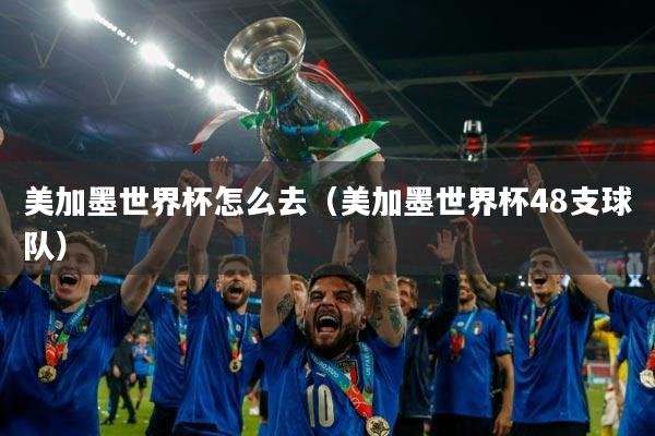 美加墨世界杯怎么去（美加墨世界杯48支球队）