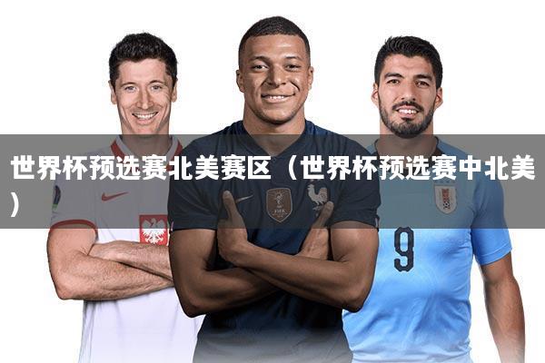 世界杯预选赛北美赛区（世界杯预选赛中北美）