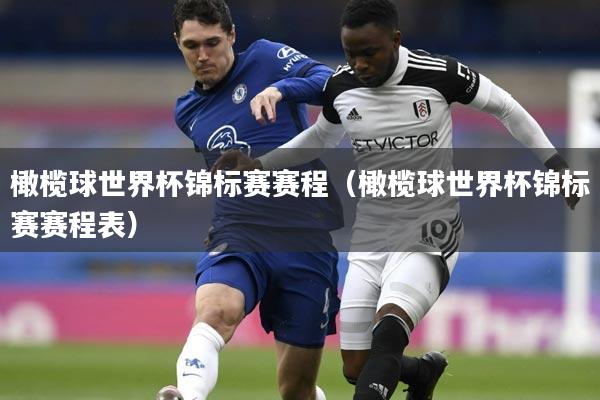 橄榄球世界杯锦标赛赛程（橄榄球世界杯锦标赛赛程表）